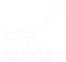 shape-1